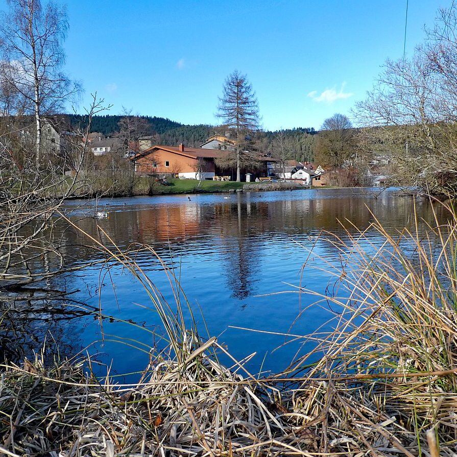 Tennenbronn Kaesberg Weierhalde See 10
