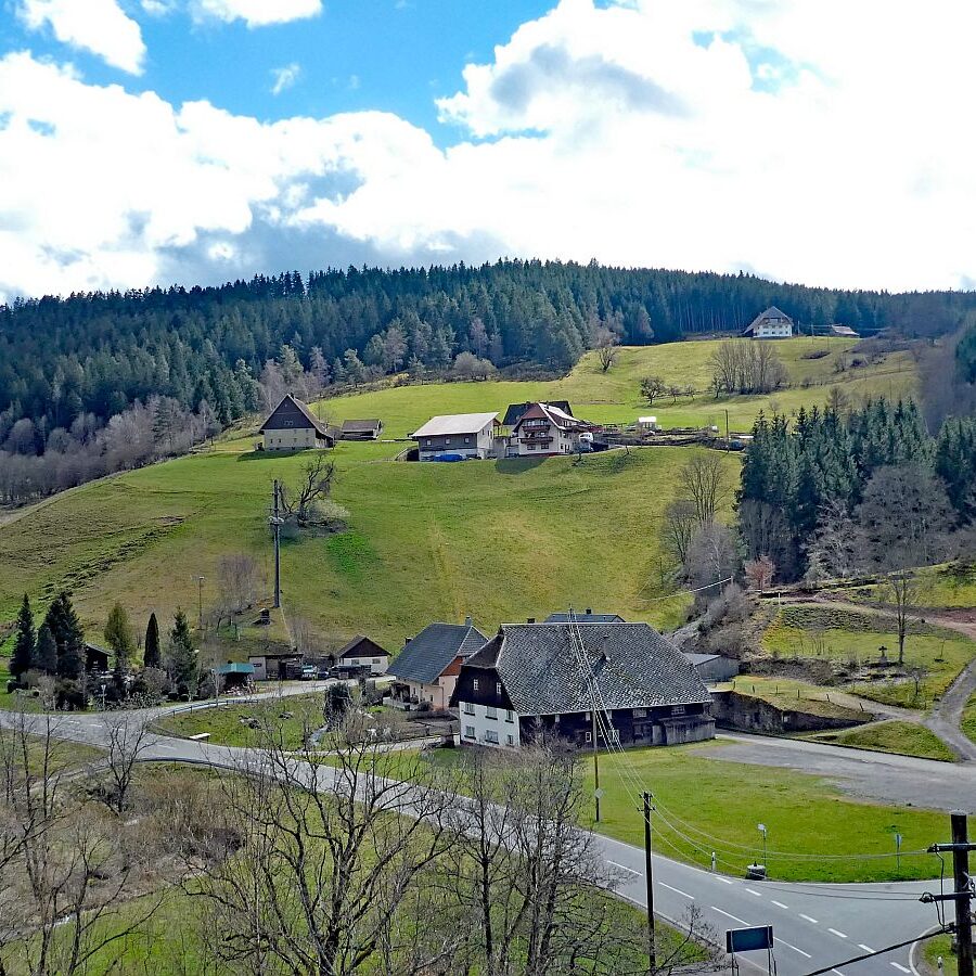 Wanderung zum Schloesslefelsen Tennenbronn 01