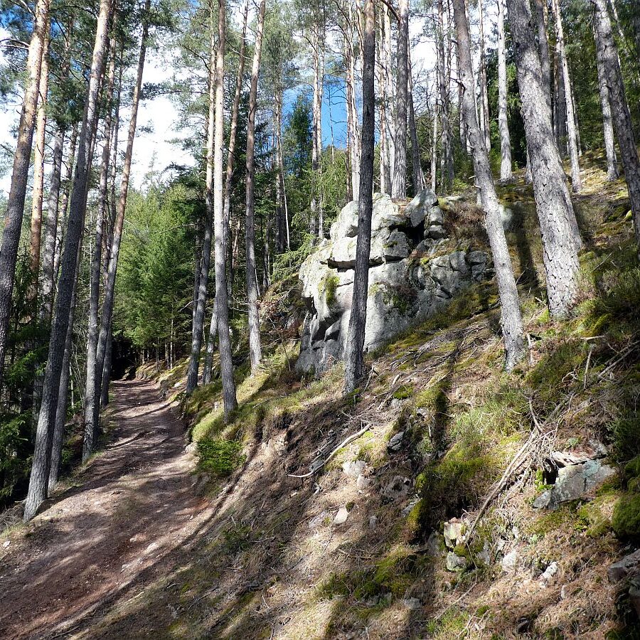 Wanderung zum Schloesslefelsen Tennenbronn 02