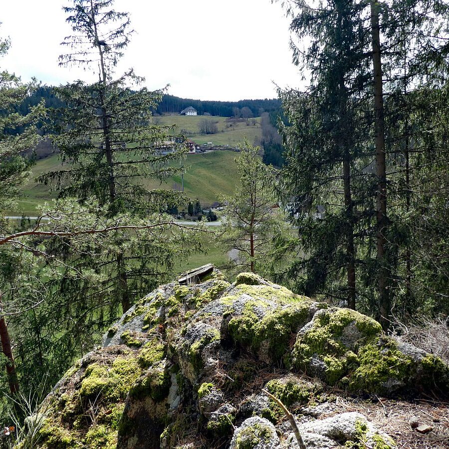 Wanderung zum Schloesslefelsen Tennenbronn 03