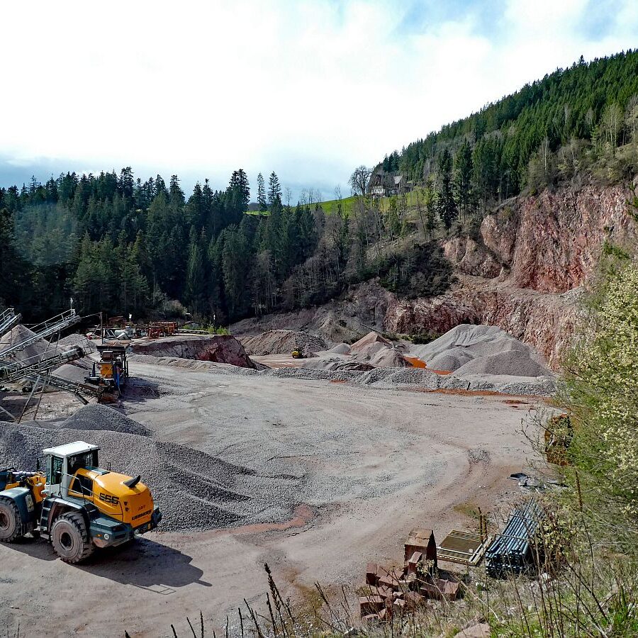 Wanderung zum Schloesslefelsen Tennenbronn 05