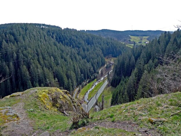 Wanderung zum Schloesslefelsen Tennenbronn 08