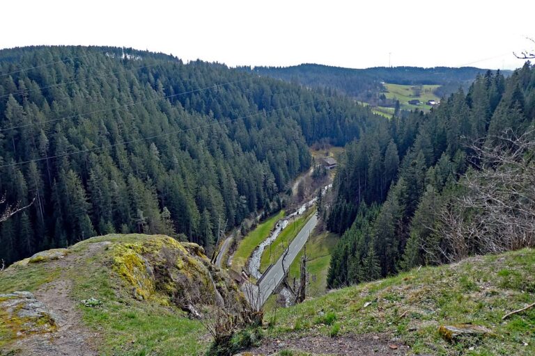 Wanderung zum Schloesslefelsen Tennenbronn 08