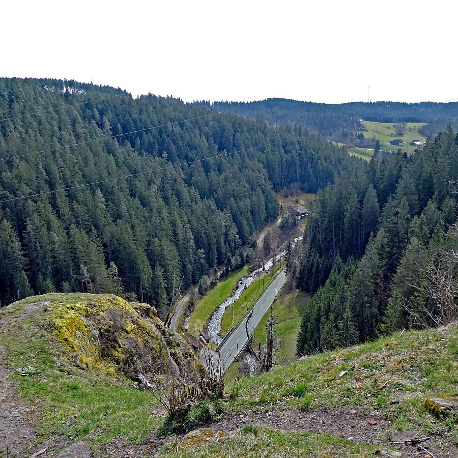 Wanderung zum Schloesslefelsen Tennenbronn 08