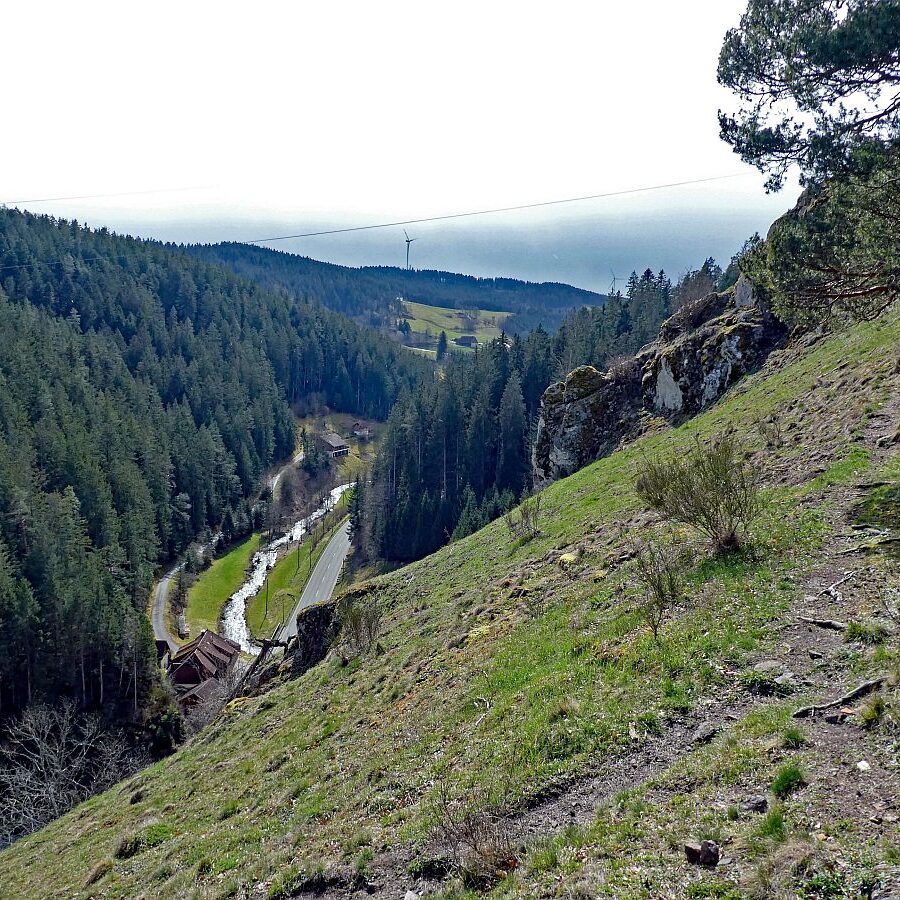 Wanderung zum Schloesslefelsen Tennenbronn 10