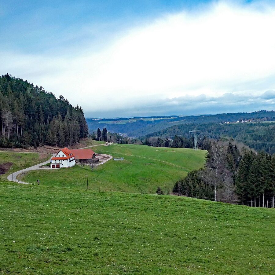 Wanderung zum Schloesslefelsen Tennenbronn 11