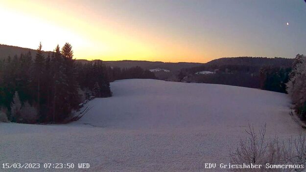 Webcam Sommermoos Tennenbronn im Maerz 01