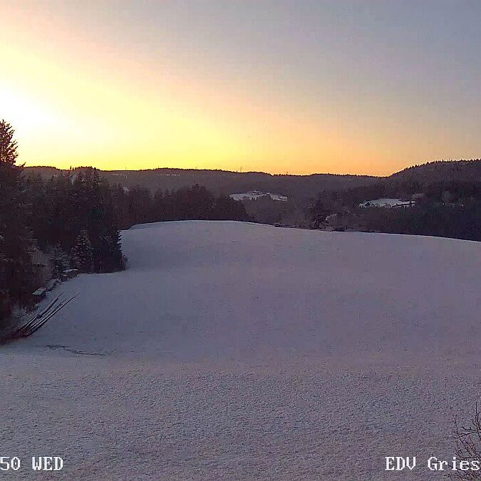 Webcam Sommermoos Tennenbronn im Maerz 01