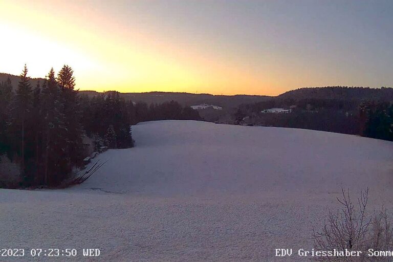 Webcam Sommermoos Tennenbronn im Maerz 01