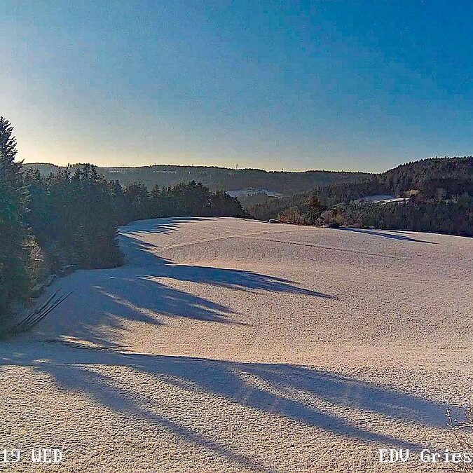 Webcam Sommermoos Tennenbronn im Maerz 03