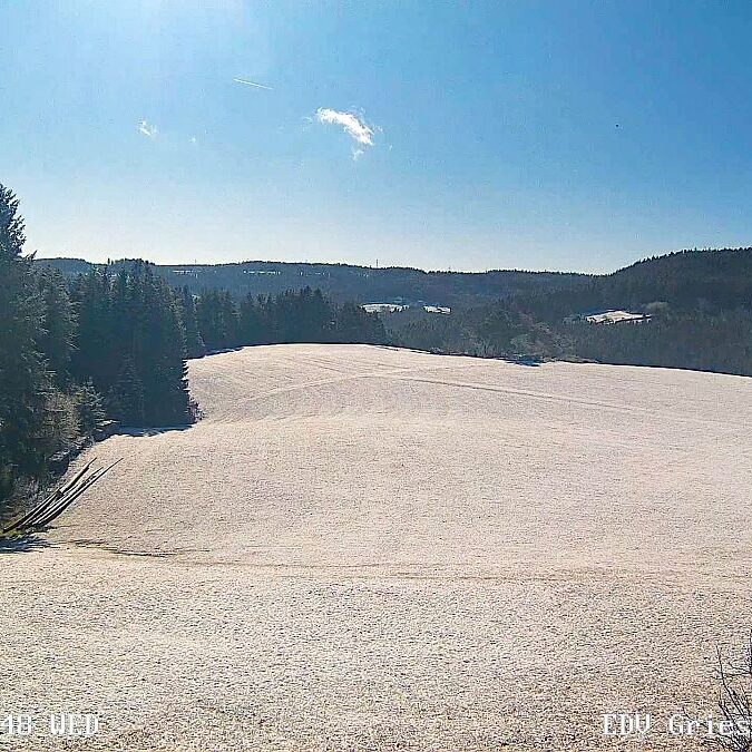 Webcam Sommermoos Tennenbronn im Maerz 04