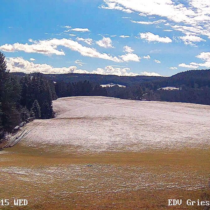 Webcam Sommermoos Tennenbronn im Maerz 05
