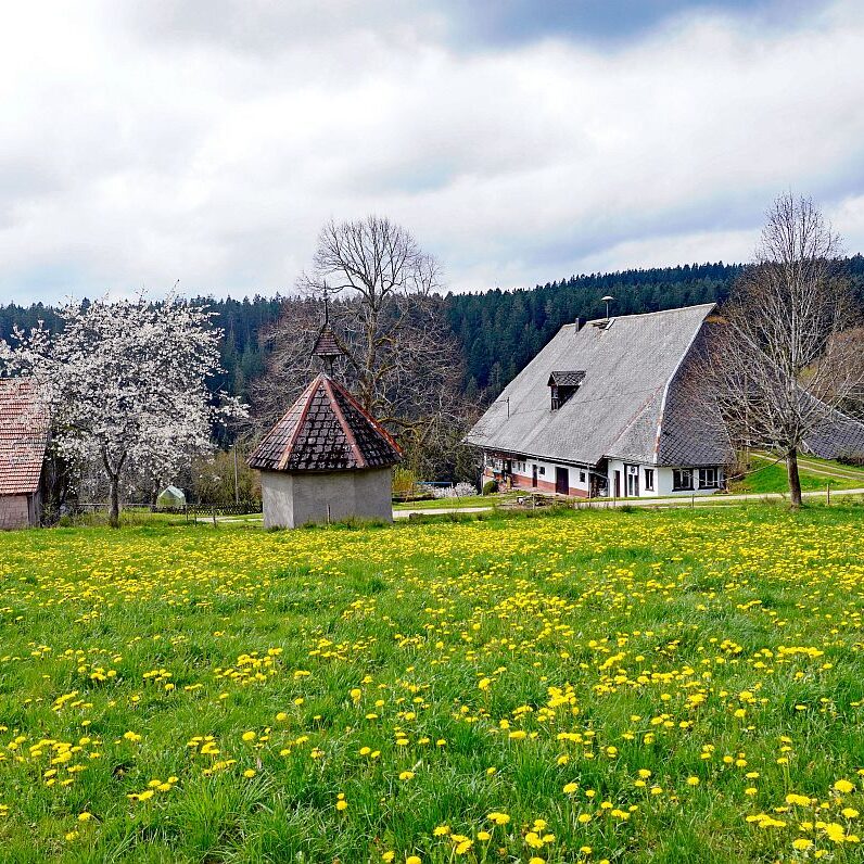 Hinterer Klausnhof Tennenbronn 02