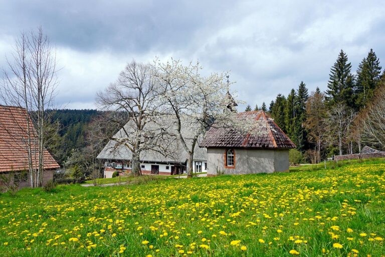 Hinterer Klausnhof Tennenbronn 03