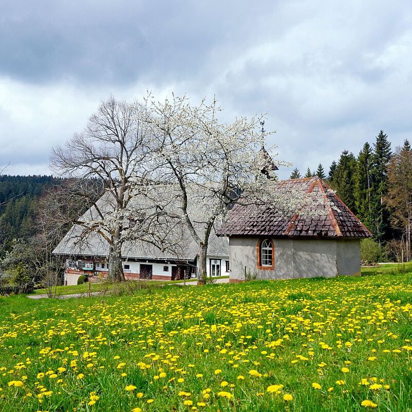 Hinterer Klausnhof Tennenbronn 03