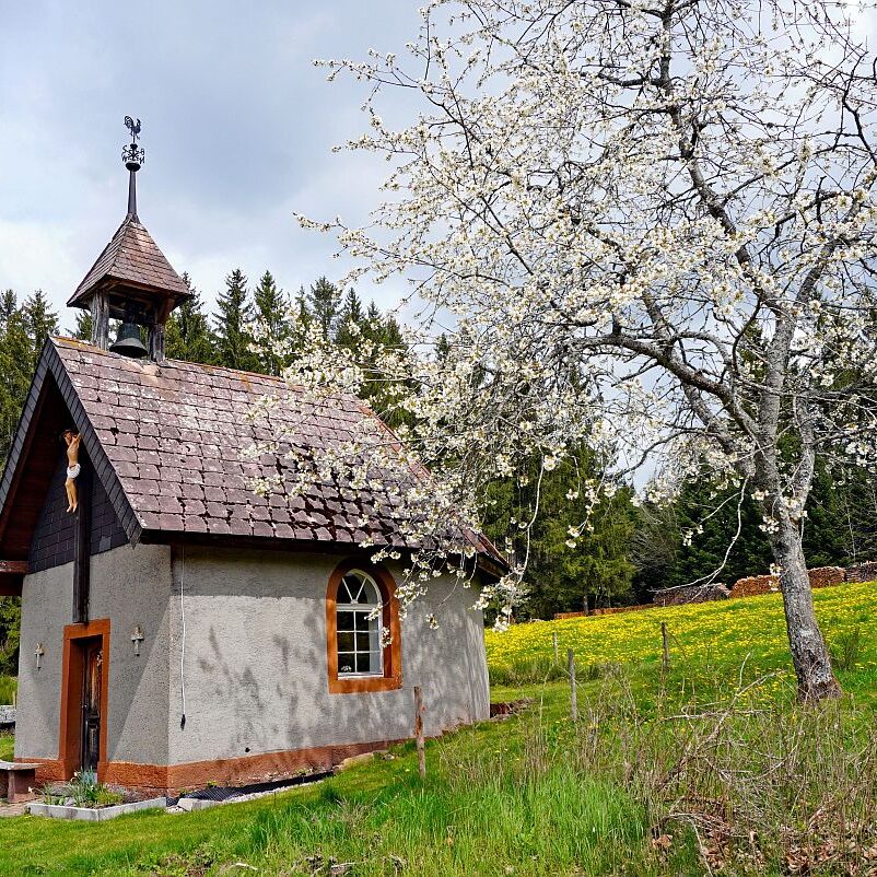 Hinterer Klausnhof Tennenbronn 05