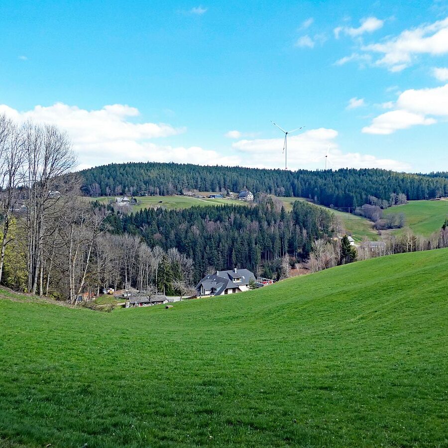 Sommerberg Kohlwald Tennenbronn 01