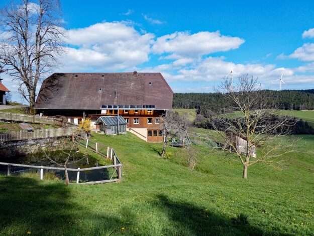Sommerberg Kohlwald Tennenbronn 03 Sommerberg Kohlwald Tennenbronn 03