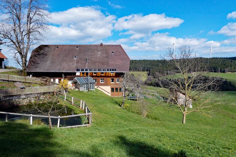 Sommerberg Kohlwald Tennenbronn 03