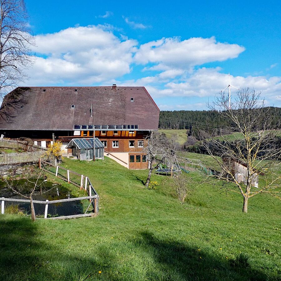 Sommerberg Kohlwald Tennenbronn 03