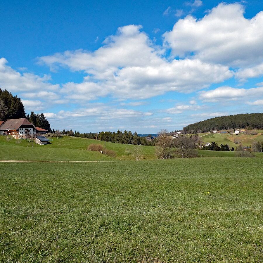 Wanderung über den Sommerberg, Leihwies und Kohlwald