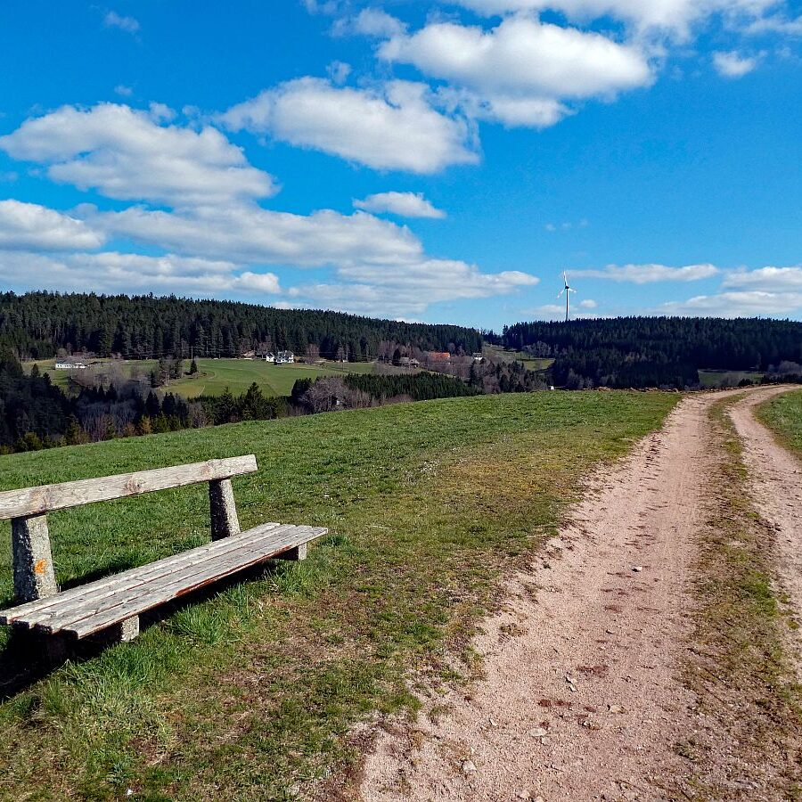 Sommerberg Kohlwald Tennenbronn 06