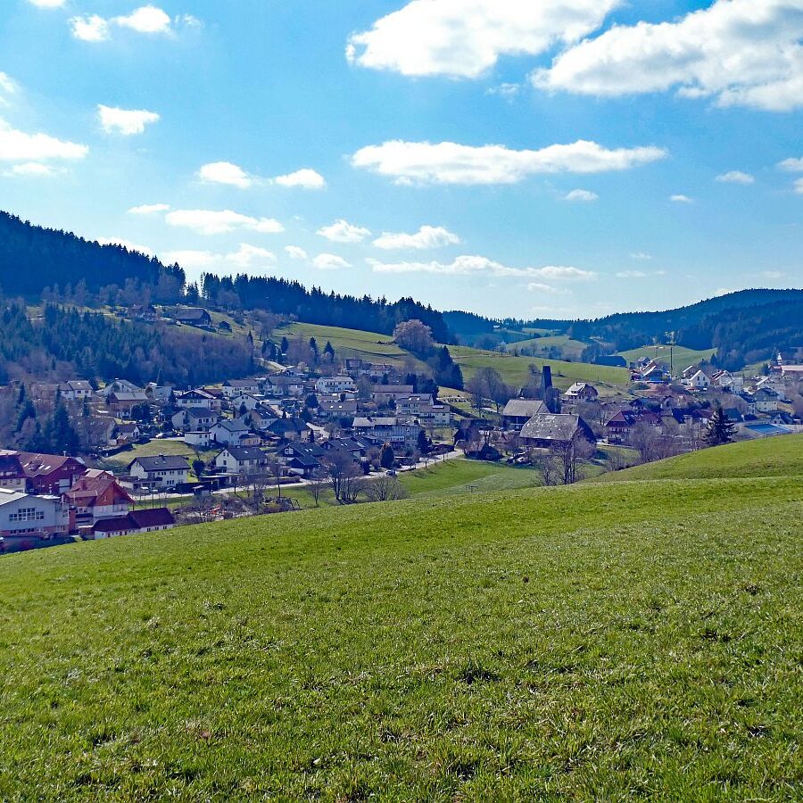 Sommerberg Kohlwald Tennenbronn 08