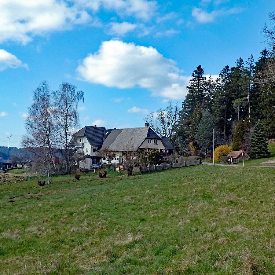 Sommerberg Kohlwald Tennenbronn 12