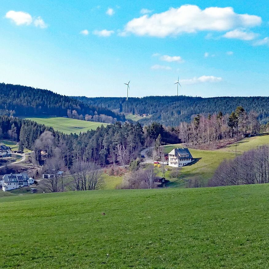 Sommerberg Kohlwald Tennenbronn 13