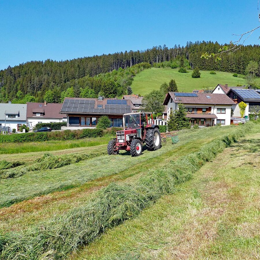 2023 Erste Heuernte 03