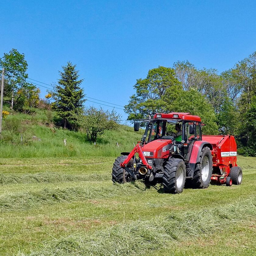 2023 Erste Heuernte 05
