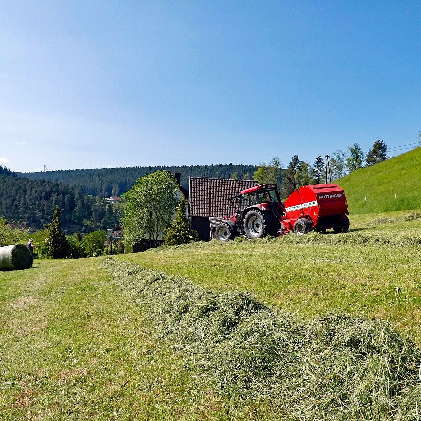 2023 Erste Heuernte 06