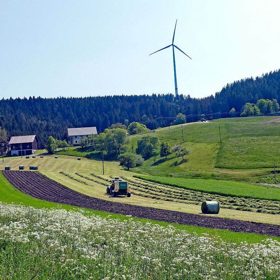 2023 Erste Heuernte 07