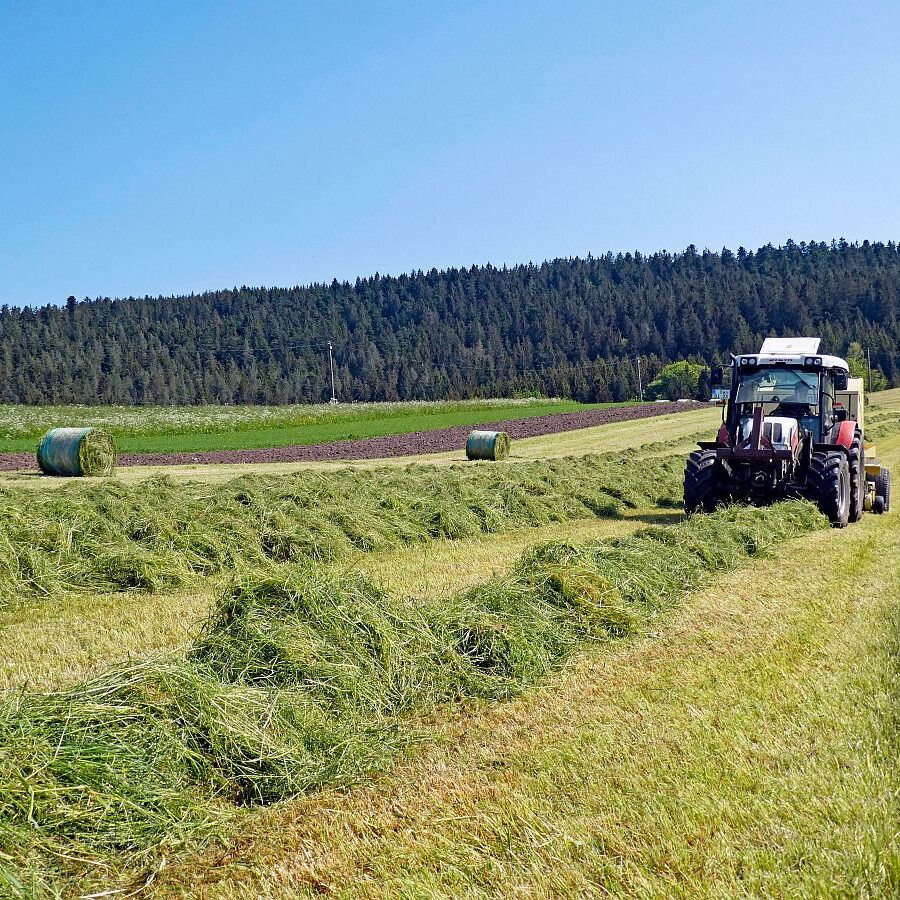 2023 Erste Heuernte 09