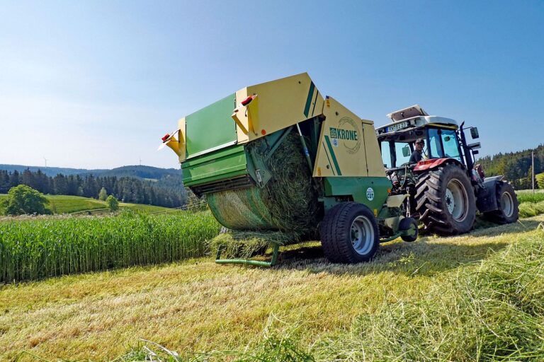 2023 Erste Heuernte 10