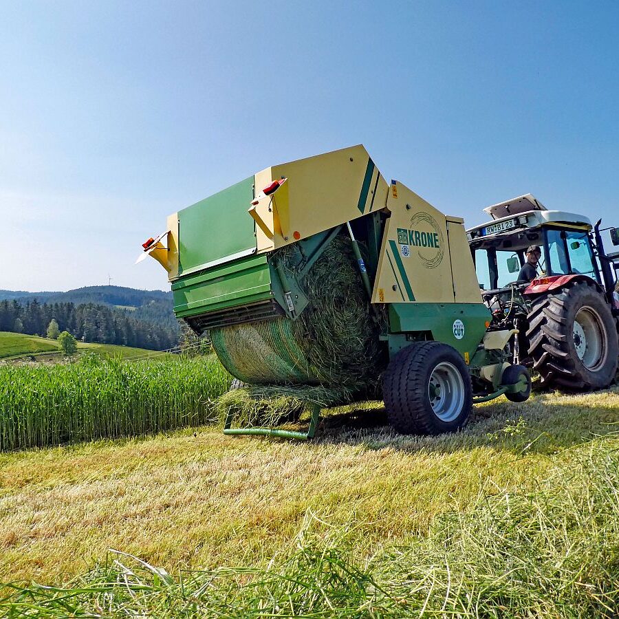 2023 Erste Heuernte 10