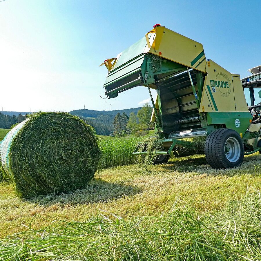 2023 Erste Heuernte 11