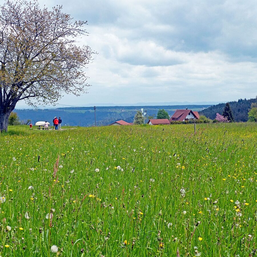 Wanderung über Ecke Trombach Purpen 01