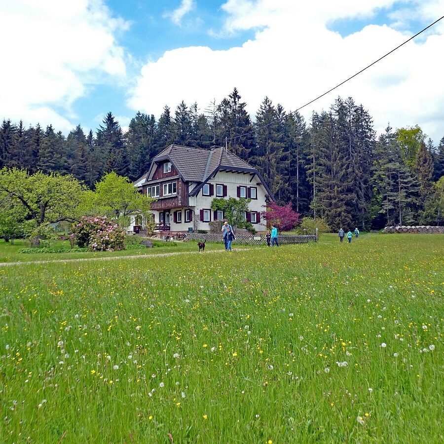 Wanderung über Ecke Trombach Purpen 02
