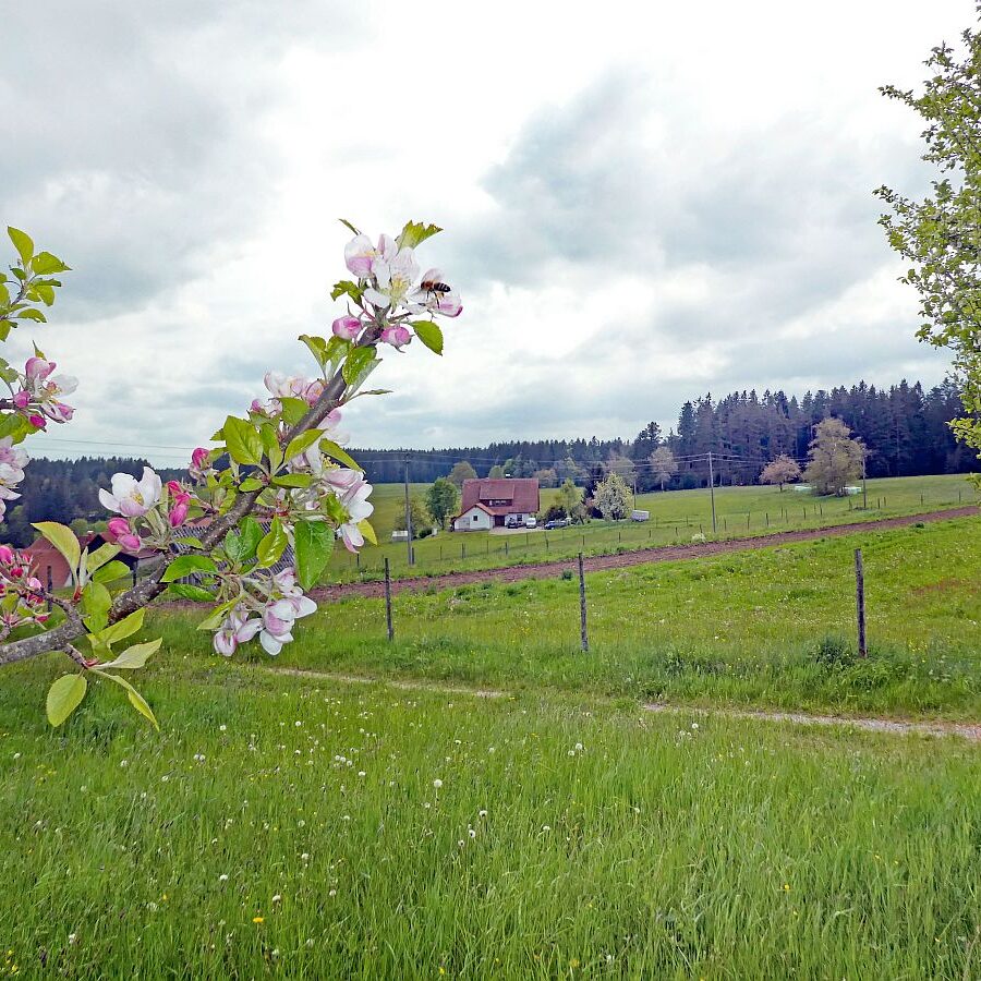 Wanderung über Ecke Trombach Purpen 03