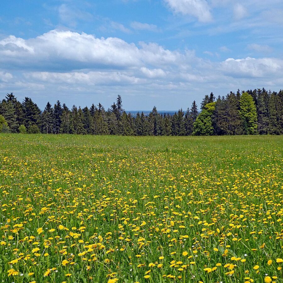 Wanderung über Ecke Trombach Purpen 05
