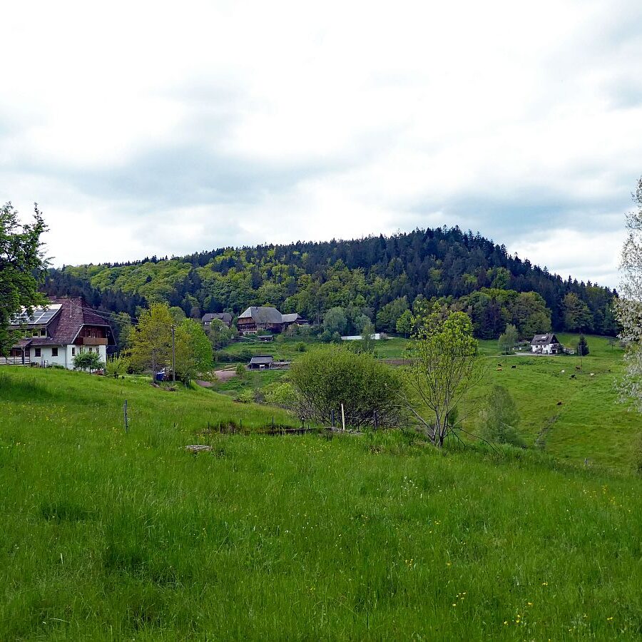 Wanderung über Ecke Trombach Purpen 09