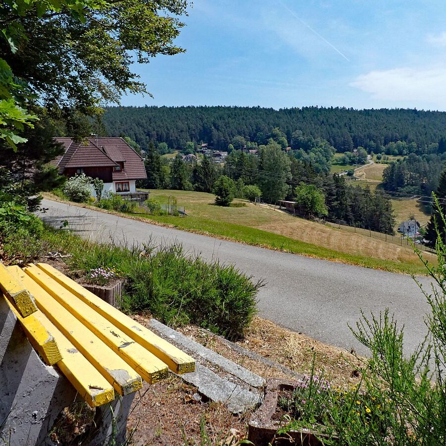 Auerhahn Wanderweg Tennenbronn 01