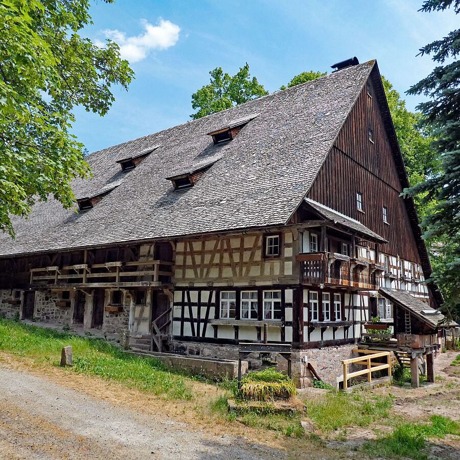Auerhahn Wanderweg Tennenbronn 04