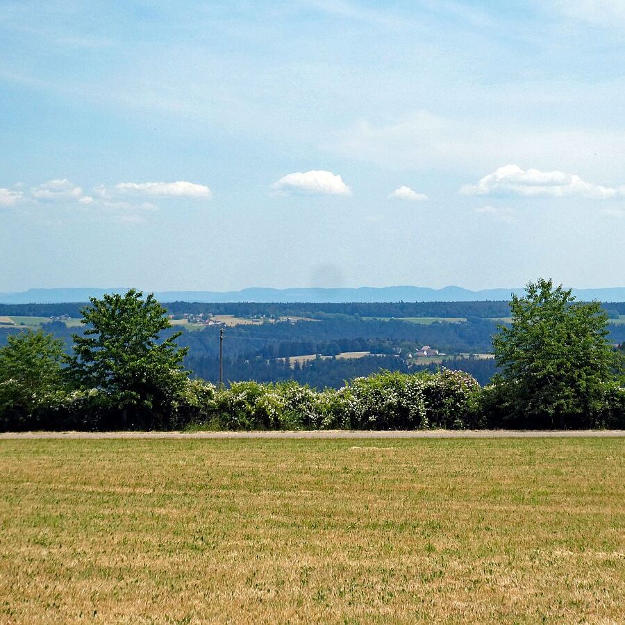 Auerhahn Wanderweg Tennenbronn 08