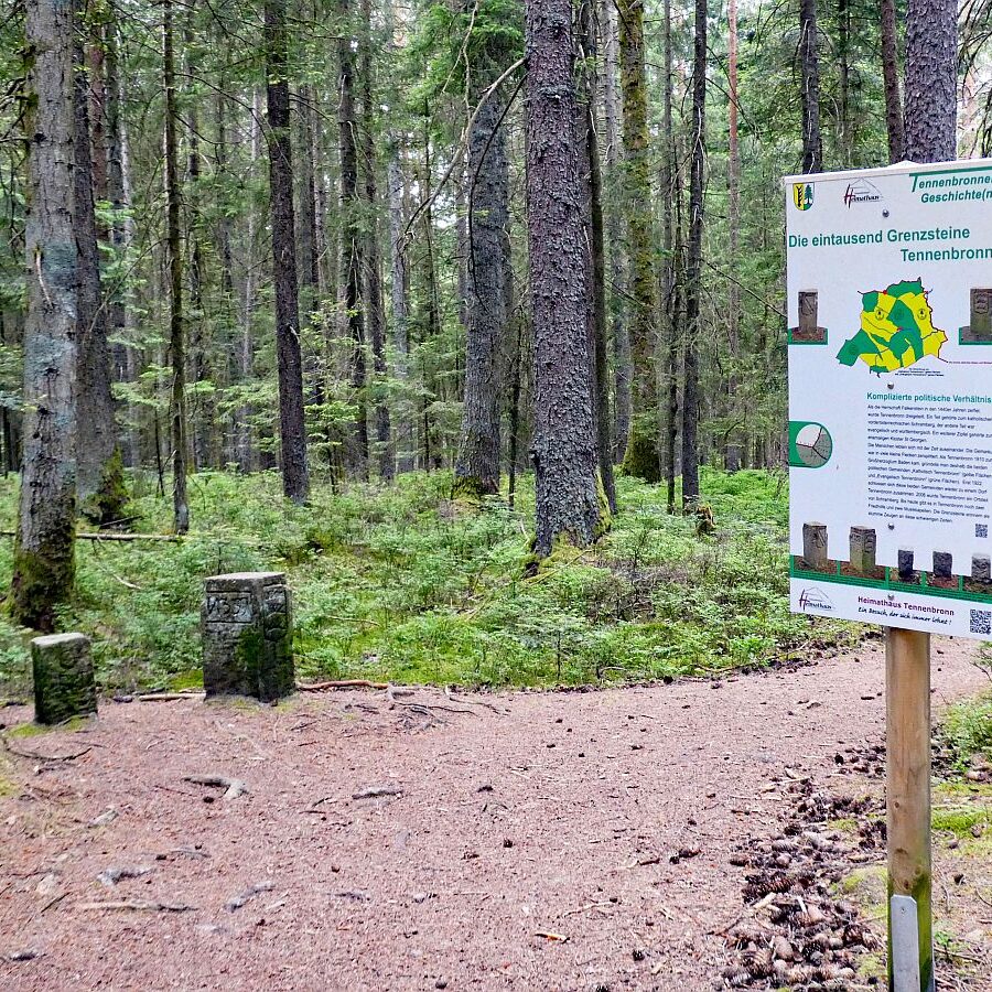 Auerhahn Wanderweg Tennenbronn 10