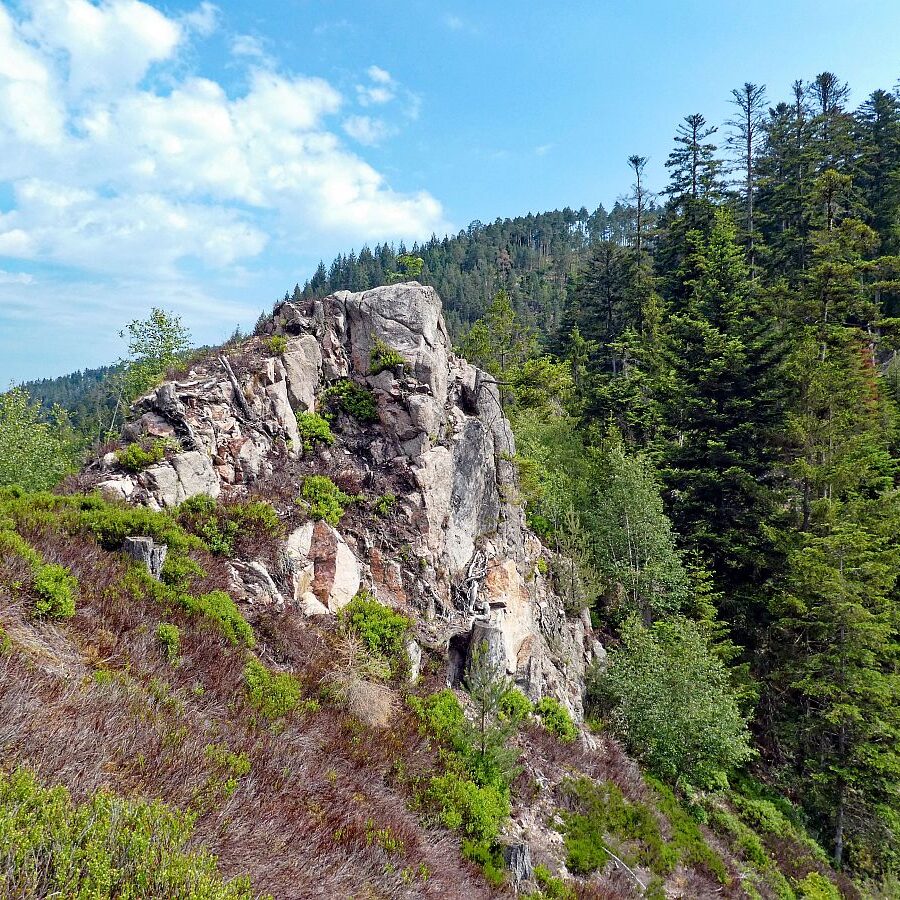 Bernecktal Tennenbronn 04