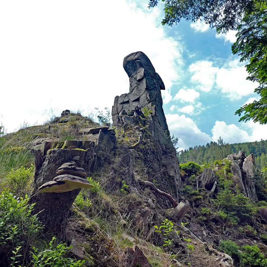 Bernecktal Tennenbronn 08