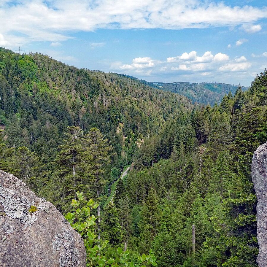 Bernecktal Tennenbronn 12
