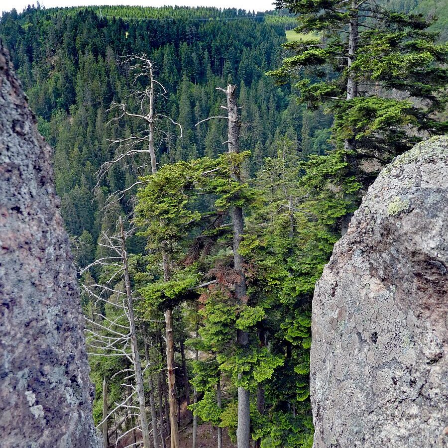 Bernecktal Tennenbronn 13